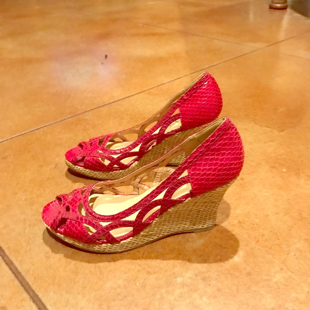Red wedges